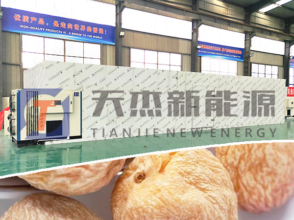 黃杏干烘干機(jī)